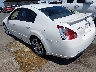 1N4BA41E28C****** Salvage and Repairable 2008 Nissan Maxima in El Paso
