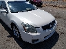 1N4BA41E28C****** Salvage and Repairable 2008 Nissan Maxima in Texas State