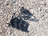 WA1LGAFE9FD****** Wrecked 2015 Audi Q7 in Wisconsin State