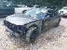 2C3CDXBG1LH****** Usados y Reparables 2020 Dodge Charger en Indianapolis