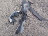 JN8AT2MV4JW****** Wrecked 2018 Nissan Rogue in New Jersey State