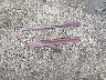 3GCPKSE78DG****** Wrecked 2013 Chevrolet Silverado 1500 in Arkansas State