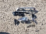 3TMLU4EN7FM****** Destrozados 2015 Toyota Tacoma en Estado de Georgia