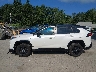 JTMEWRFV7KJ****** Reparables 2019 Toyota RAV4 Hybrid en Estado de Maine