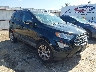MAJ6S3GL5LC****** Salvamento y Destrozados 2020 Ford Ecosport en Lubbock