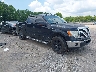 1FTEW1CM6BF****** Salvamento y Destrozados 2011 Ford F-150 en Knoxville