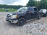 1FTEW1CM6BF****** Usados y Reparables 2011 Ford F-150 en Knoxville