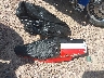 1HD1CT313CC****** Wrecked 2012 Harley-Davidson Sportster 1200 Custom in Wisconsin State