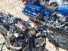 1HD1CT313CC****** Salvage 2012 Harley-Davidson Sportster 1200 Custom