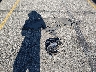 5YJ3E1EA8PF****** Destrozados 2023 Tesla Model 3 en Estado de California