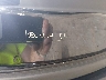 JTKDE177470****** Used 2007 Scion TC in Suffolk