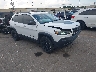 1C4PJMBX1LD****** Salvamento y Destrozados 2020 Jeep Cherokee en Houston