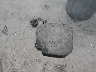 5XYPGDA5XKG****** Destrozados 2019 Kia Sorento en Estado de Idaho