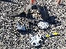 3N1BC1CP7CK****** Wrecked 2012 Nissan Versa in Oregon State