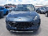 1FMCU0G66LU****** Wrecked 2020 Ford Escape in Texas State