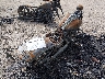 1HD1PT9129Y****** Salvage and Wrecked 2009 Harley-Davidson Fxstsse3 in Oklahoma State