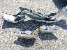 1C3CDZCB2CN****** Wrecked 2012 Dodge Avenger in Florida State