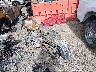 1HD1PY914AB****** Salvage and Repairable 2010 Harley-Davidson Flstse in Tulsa
