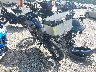 JKALE8C10MD****** Salvage and Repairable 2021 Kawasaki Versys-X 300 in Rec Rides Online Exclusive
