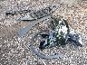 7SAXCBE52PF****** Salvamento 2023 Tesla Model X en Estado de Virginia