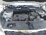 5XYPG4A33KG****** Reparables 2019 Kia Sorento en Tampa North