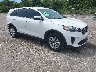 5XYPG4A33KG****** Salvamento y Destrozados 2019 Kia Sorento en Tampa North