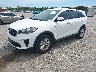 5XYPG4A33KG****** Usados y Reparables 2019 Kia Sorento en Tampa North