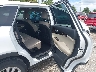 5XYPG4A33KG****** Destrozados 2019 Kia Sorento en Tampa North