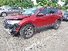 2HKRW2H59KH****** Used and Repairable 2019 Honda CR-V in Englishtown