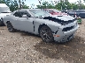 2C3CDZAG4NH****** Salvamento y Destrozados 2022 Dodge Challenger en West Palm Beach