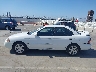3N1CB51D85L****** Destrozados 2005 Nissan Sentra