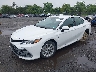 4T1C11AK1RU****** Used and Repairable 2024 Toyota Camry in Culpeper