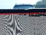 5YJ3E1EB5NF****** Usados 2022 Tesla Model 3