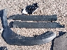 4S4BTGUDXN3****** Wrecked 2022 Subaru Outback in Colorado State