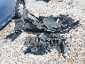 5N1AT2MT2KC****** Wrecked 2019 Nissan Rogue in Georgia State