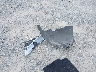 3KPF24AD3RE****** Wrecked 2024 Kia Forte in Georgia State