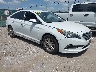 5NPE24AF5GH****** Salvamento y Destrozados 2016 Hyundai Sonata en San Antonio South