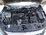 19XFC2E6XLE****** Repairable 2020 Honda Civic in Saint Louis