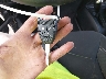 1C4AJWBG4JL****** Salvage 2018 Jeep Wrangler in Maryland State