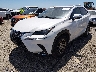 JTJYARBZ4K2****** Used and Repairable 2019 Lexus NX 300 in Austin