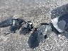 KM8HF3AB9TU****** Destrozados 2026 Hyundai Kona en Estado de Florida
