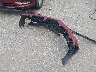 5NPD84LF9HH****** Salvage 2017 Hyundai Elantra in Texas State