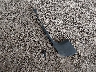 WDDZF4JB5HA****** Wrecked 2017 Mercedes-Benz E 300 in Louisiana State