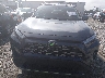 2T3N1RFV5PW****** Wrecked 2023 Toyota RAV4 in Kentucky State