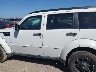 1D4PT4GK6BW****** Reparables 2011 Dodge Nitro en Estado de Texas