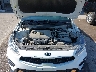 3KPF24AD7ME****** Repairable 2021 Kia Forte in Omaha South