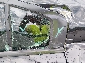 2C3CDXBG1KH****** Salvage and Repairable 2019 Dodge Charger in Kansas City East