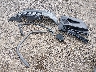 1C4RJEAG7LC****** Salvage 2020 Jeep Grand Cherokee in Louisiana State