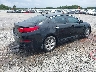 5XXGM4A70FG****** Salvamento y Destrozados 2015 Kia Optima en Estado de Georgia