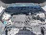 5NMJE3DE3RH****** Reparables 2024 Hyundai Tucson en Miami North